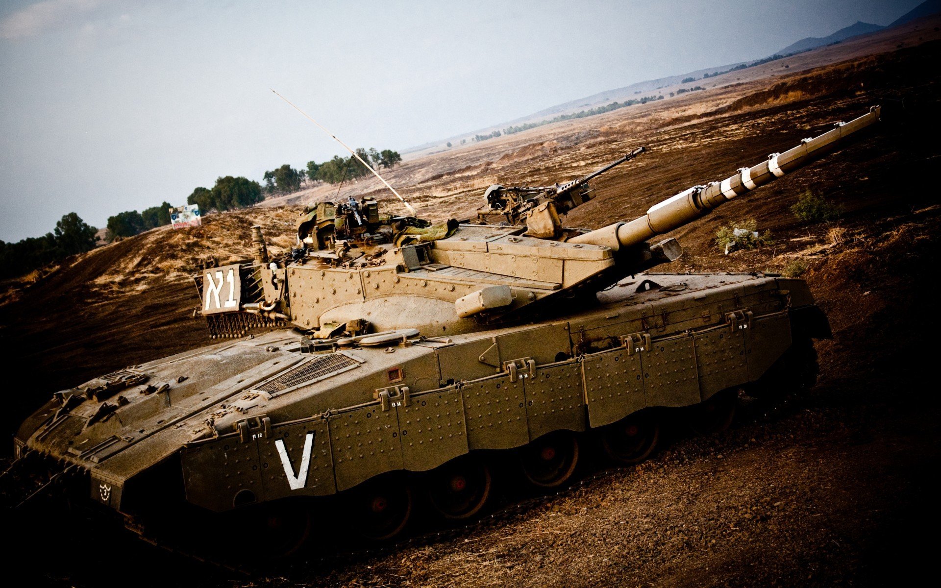 运动项目分级教学在小学体育课堂中的实践路径,大中小学体育运动技能等级标准