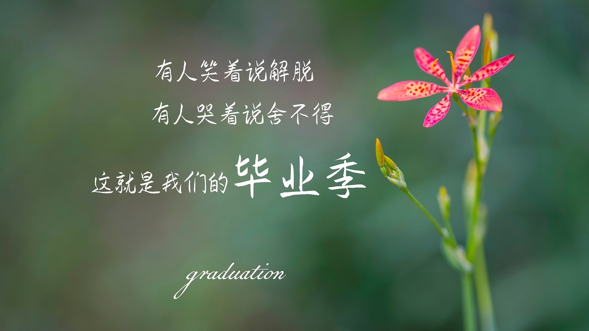 2024年混合团体世界杯赛制变化亮点,世界混合团体锦标赛