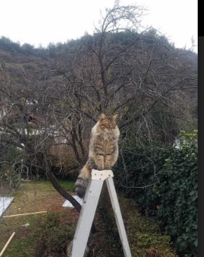 “武汉马拉松赛场：挑战自我，打破极限”