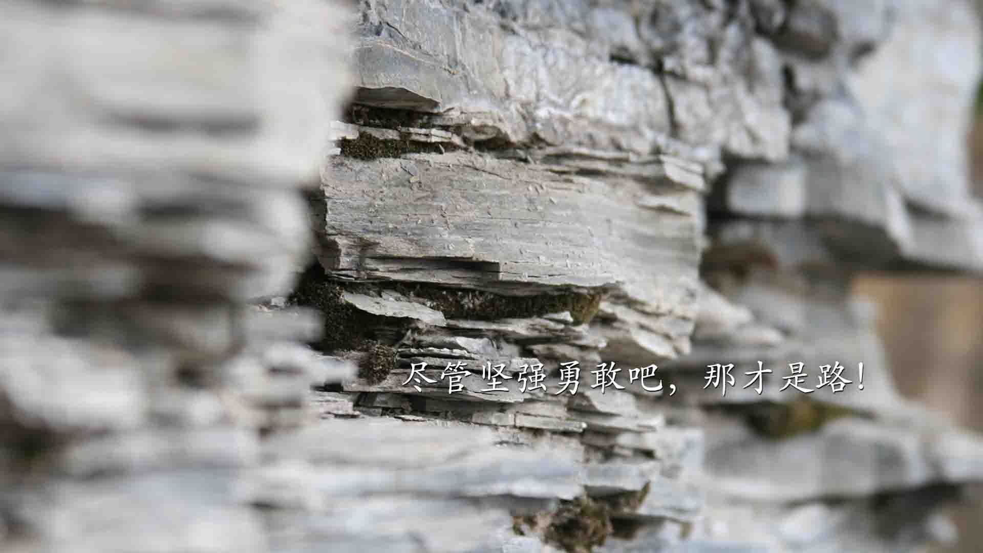 “高新体育中心:武术赛事成为2025世界运动会的经典亮点”