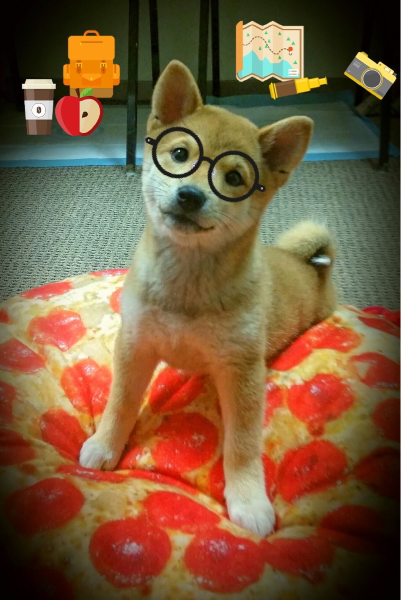 乐鱼体育官网下载-中国三人篮球女队提升终结能力，中国三人篮球女队员名单