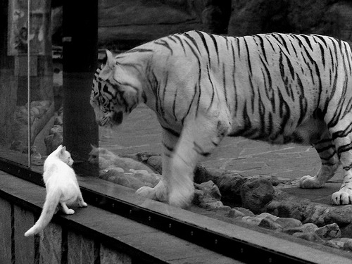 中路渗透打穿密集防线,中路渗透用什么阵型