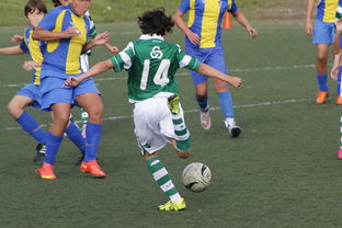 乐鱼体育官网网址-体育新闻中心发布体育内容原创度评估智能工具，原创体育sports