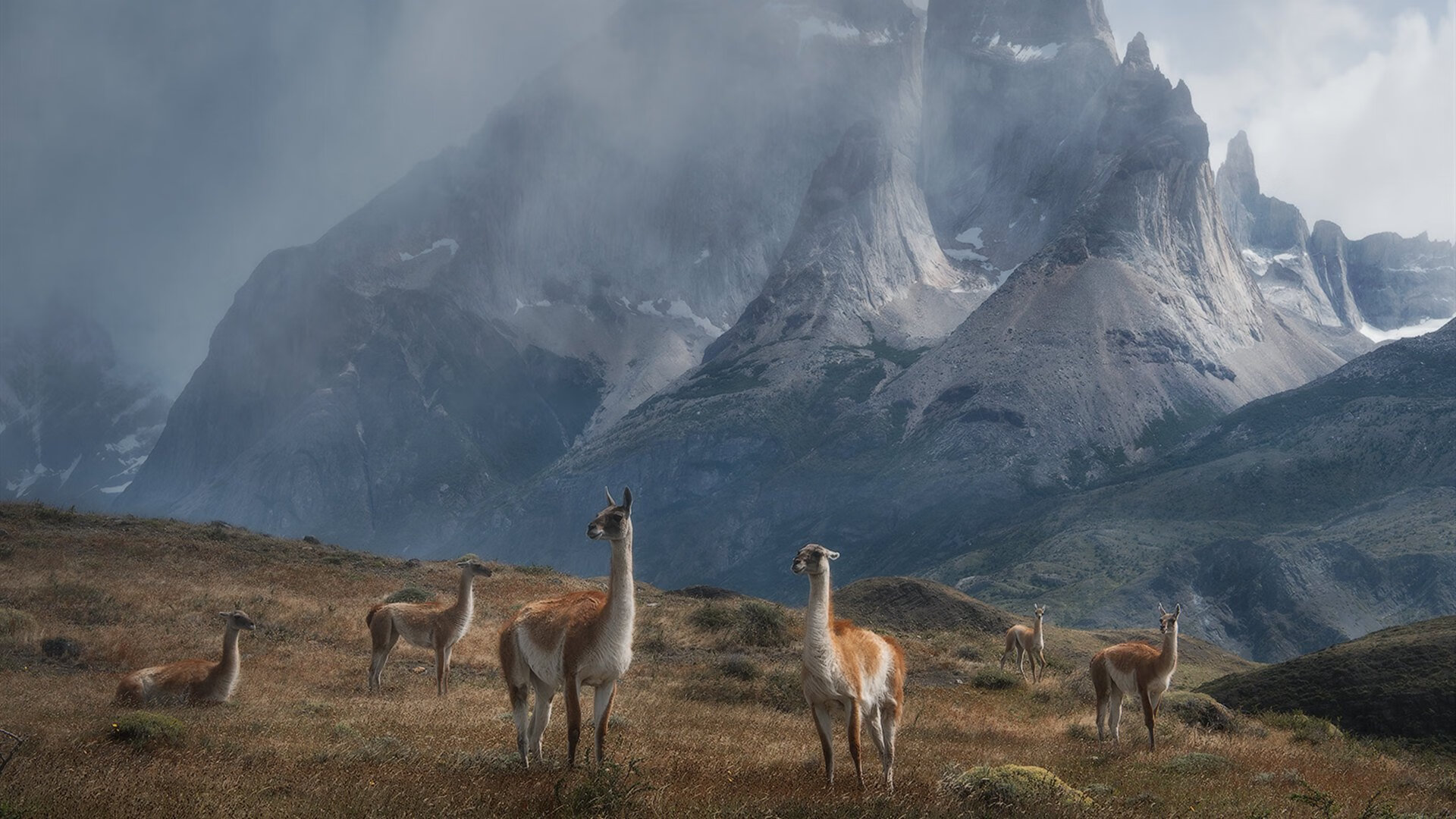 控球球队是否在上半场主动降速确保体能储备,控球率高就会赢吗
