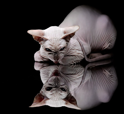 球队梯队体系趋于完善储备人才步入正轨,球队分配