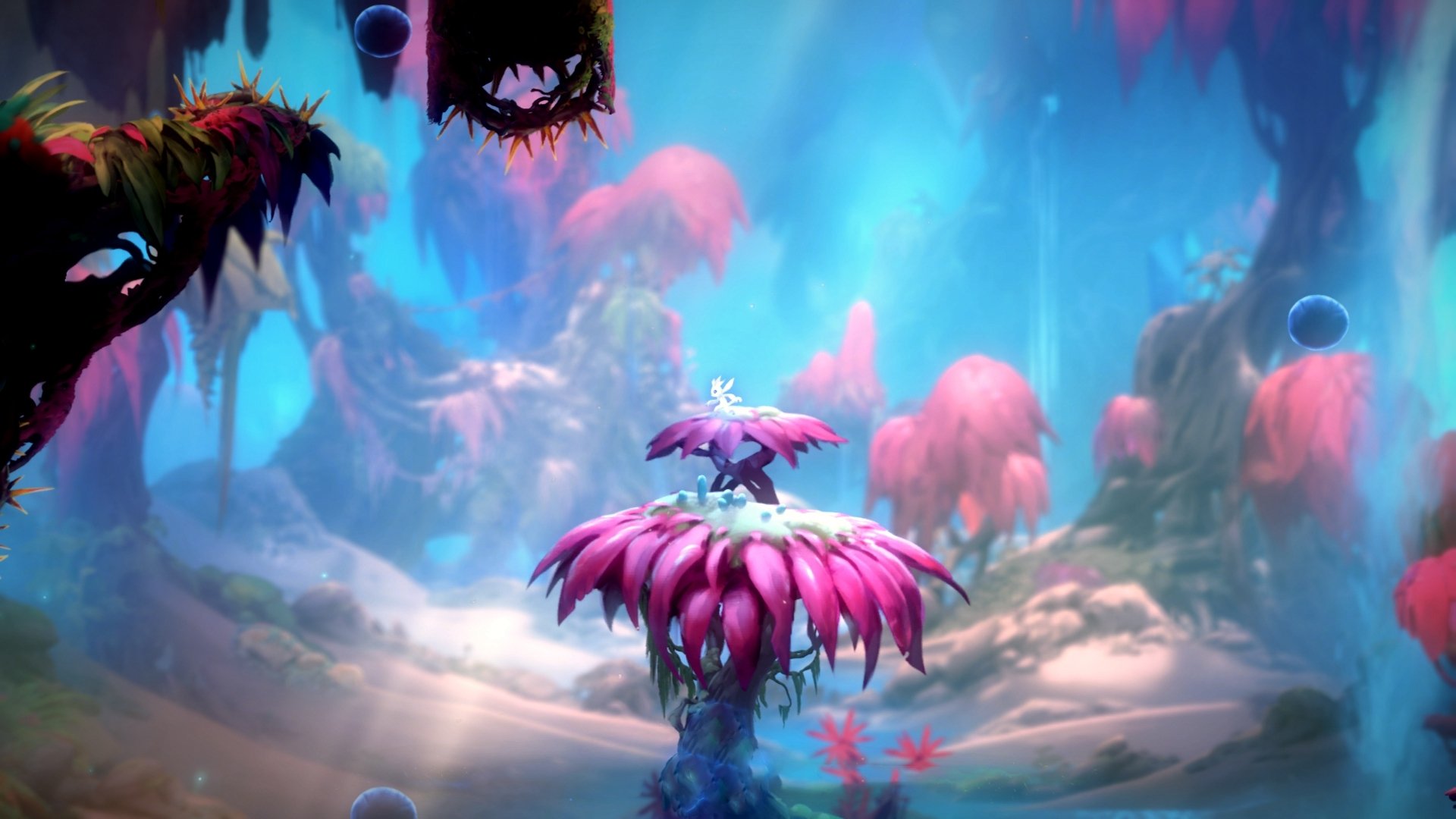 球队梯队体系趋于完善储备人才步入正轨,球队分配