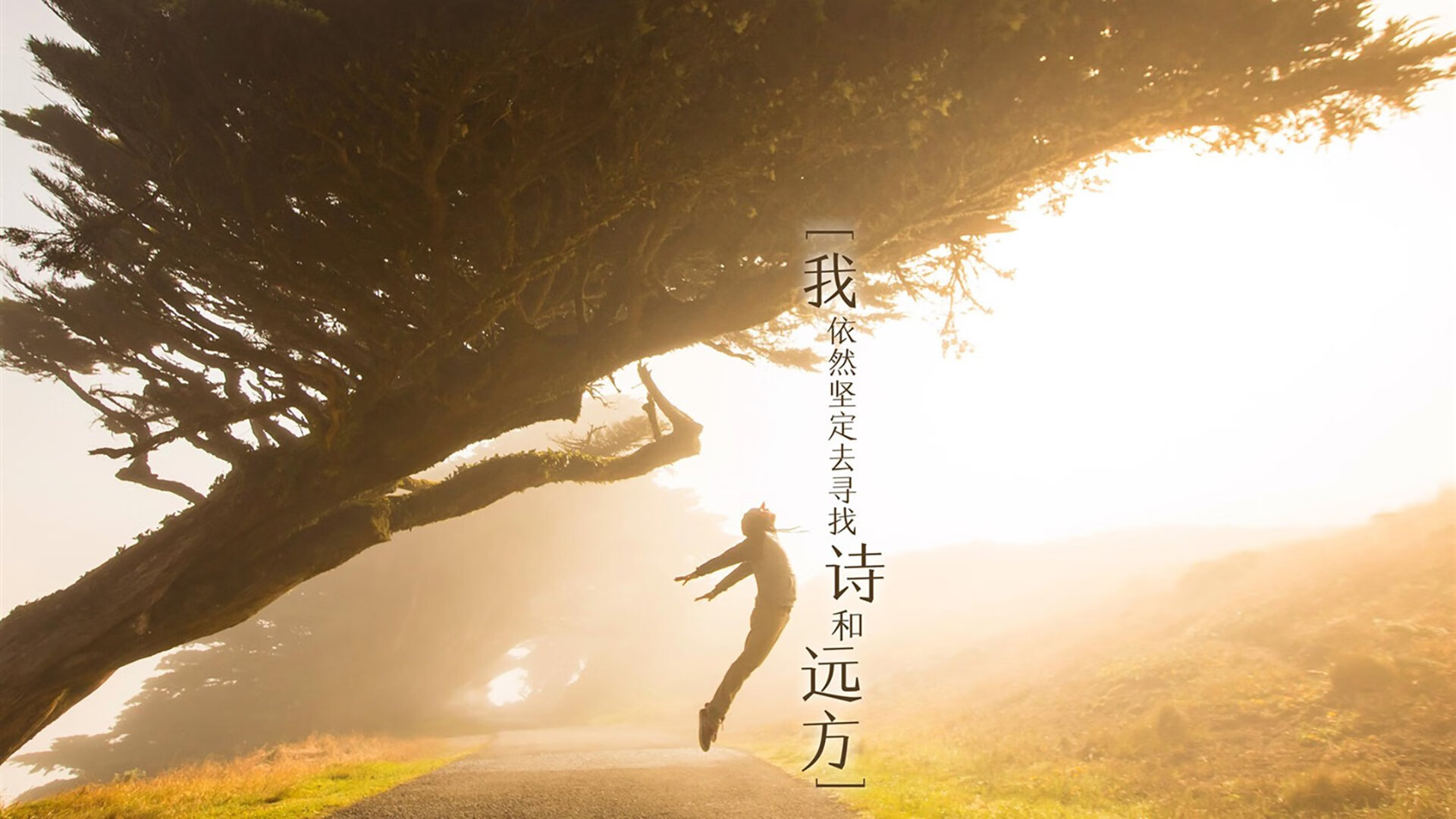 乐鱼体育官网网址-美国女队奖牌榜领跑，美国女队奖牌榜领跑是谁