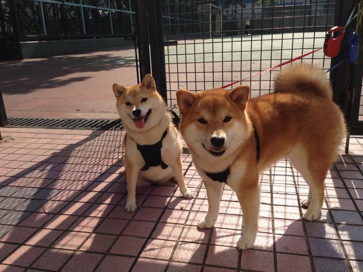 CBA开展技能挑战活动激发球员技术创新意识，cba技能等级