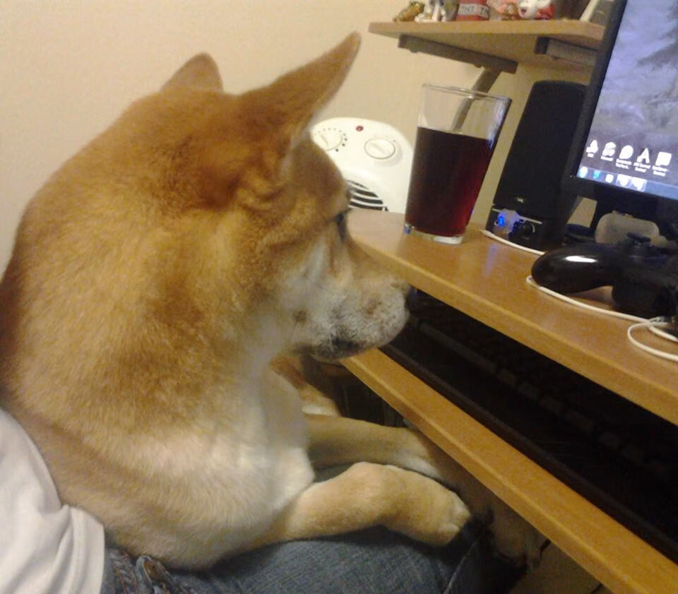 “诺克·达维德·彼得森：南非羚羊队的进攻核心”