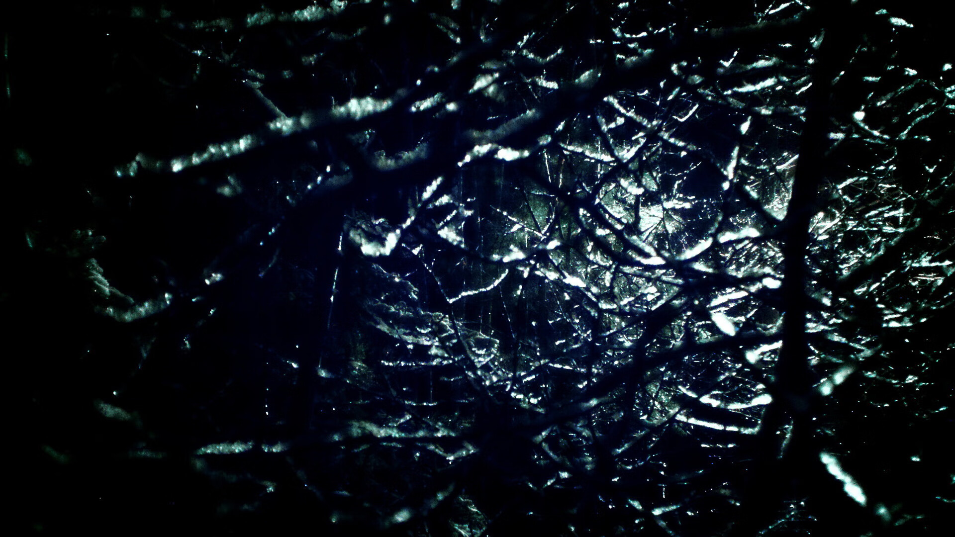 体育新闻中心发布国家运动员注册开放窗口时间，运动员注册官网