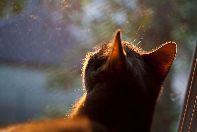 乐鱼体育官网投注-凯尔·查默斯赛后感谢团队支持，查尔斯凯恩